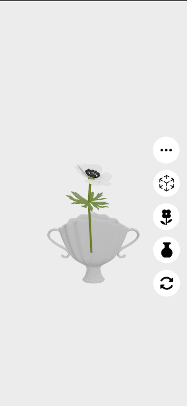 Bloom XR thumbnail 4